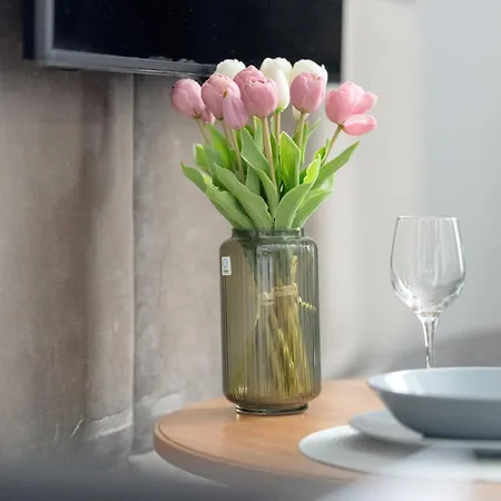 Apartment Przytulne Studia Very Berry W Poznaniu Blisko Parku By Renters *